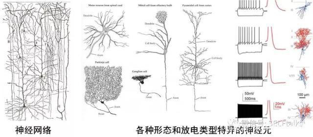 中國(guó)腦健康日關(guān)注“頭”等大事，中國(guó)腦科技的未來是什么？
