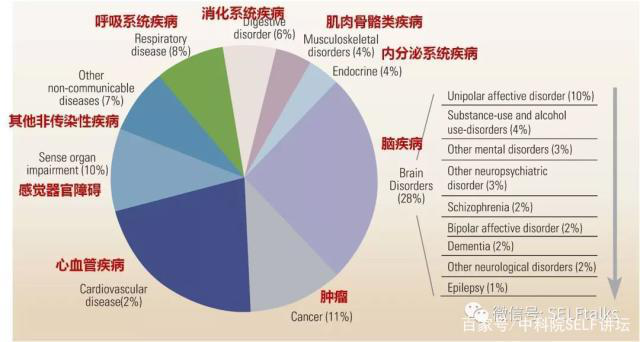 中國(guó)腦健康日關(guān)注“頭”等大事,中國(guó)腦科技的未來是什么?